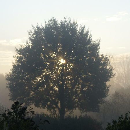 Fewo Emsland Emsbueren Bagian luar foto
