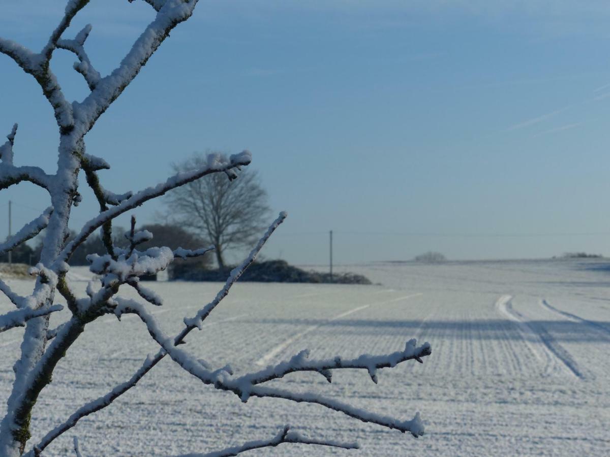 Fewo Emsland Emsbueren Bagian luar foto